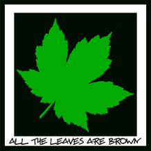 All the leaves are brown